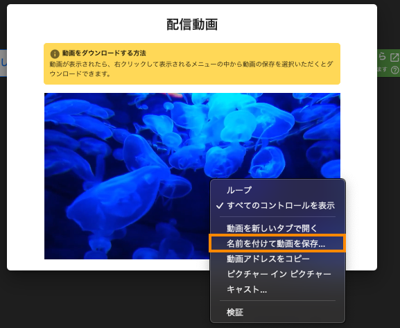__________2023-05-01_15.55.35.png